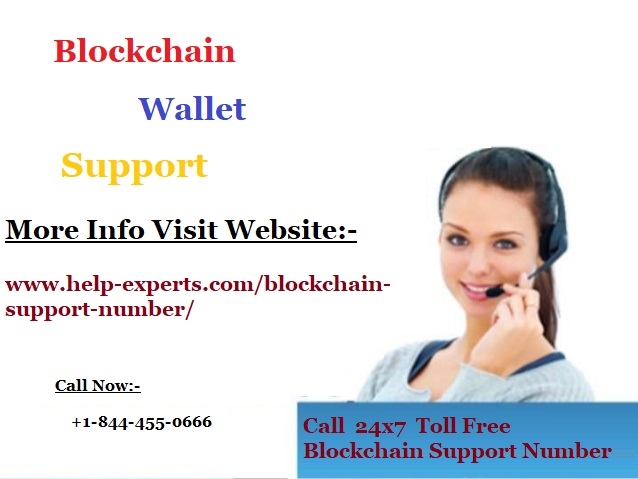 Get Instant Solutions By Blockchain wallet Support
